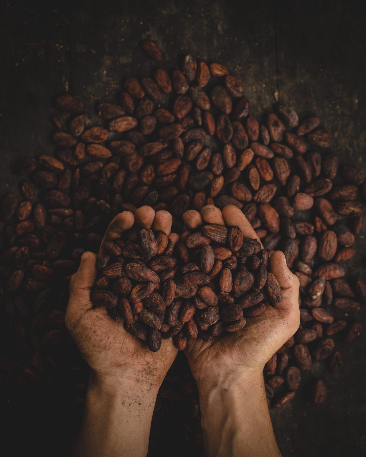 cacao-1280x1599.jpg